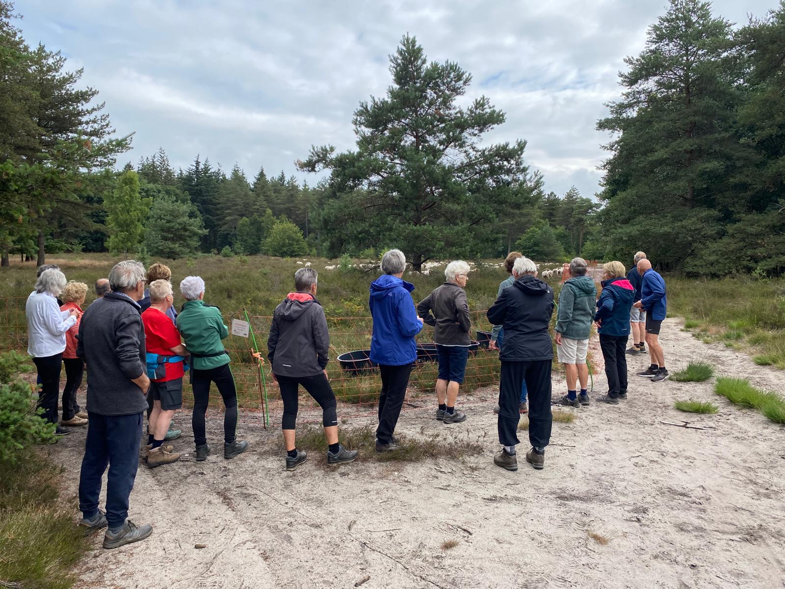 Wandelen